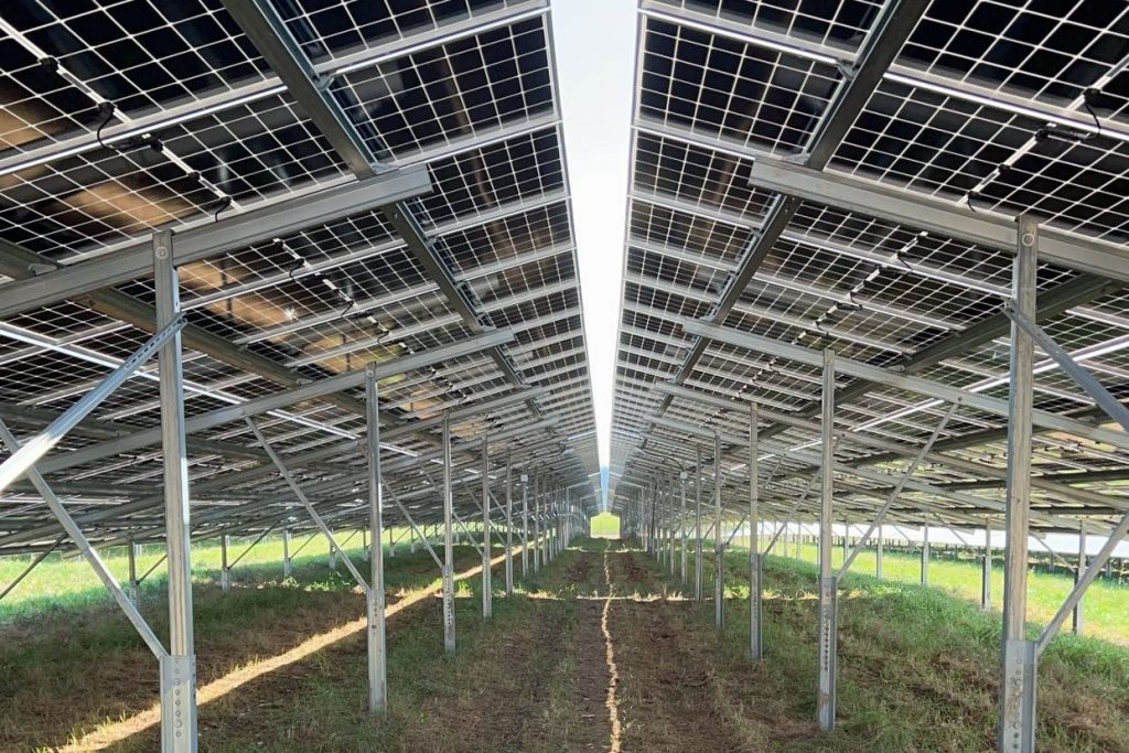 ffpv trollius ffpv trollius